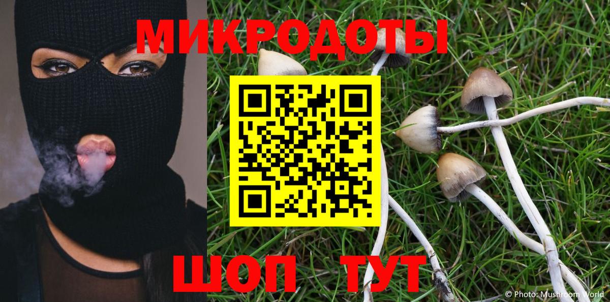 Галлюциногенные грибы MAGIC MUSHROOMS Артёмовский